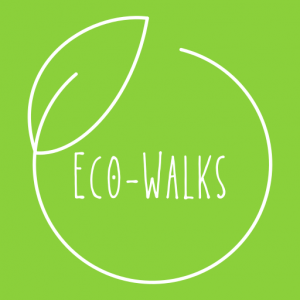 Ecowalk - White Logo - Green bg