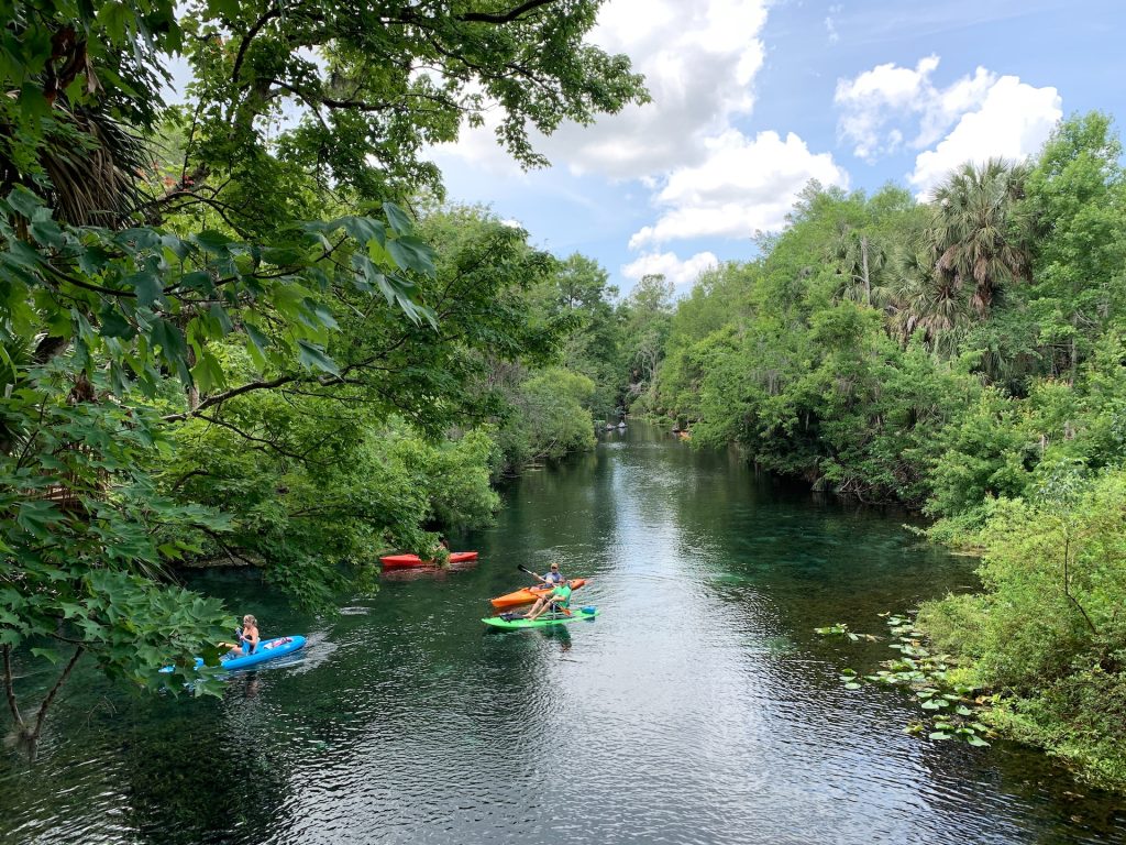 A group of people kayaking