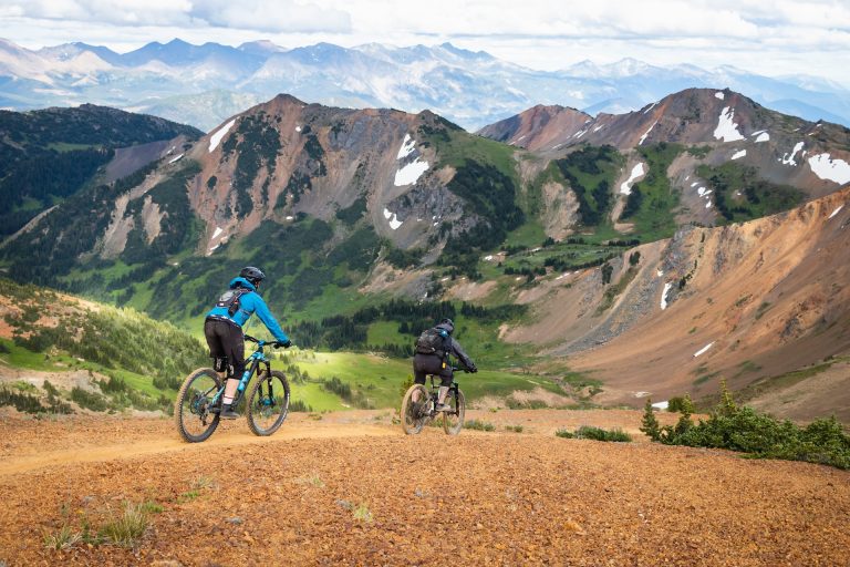 Mountain bikes in nature